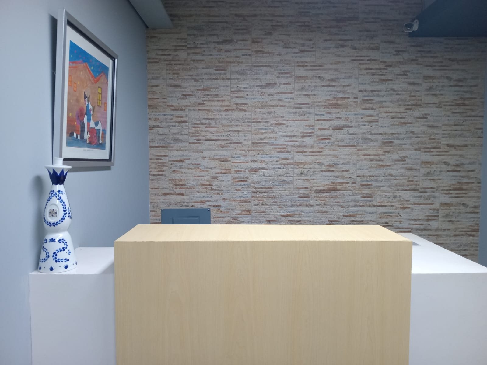 Área de recepción de AYAPA PSE
